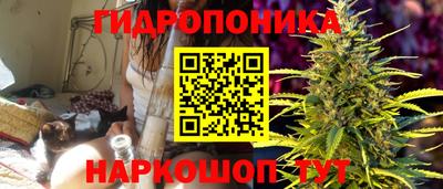 ECSTASY Чапаевск